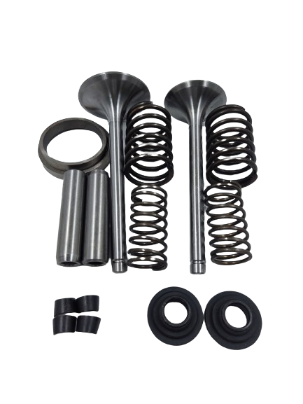 Kit de válvula de motor estacionario petrolero km186