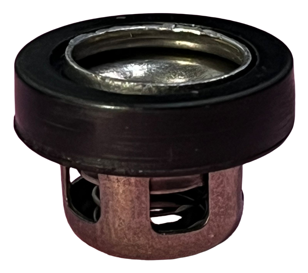 Válvula check de metal de 22mm de diámetro COMPATIBLE CON 4 TIEMPO/GX35