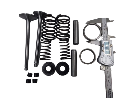 [A16.5.g2] Kit de valvula de motor estacionario petrolero de 34HP