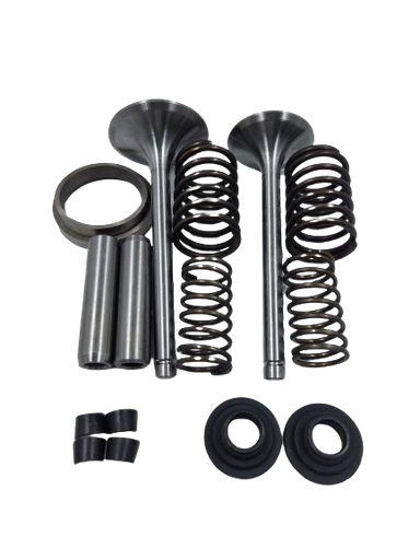 [A16.5.g3] Kit de válvula de motor estacionario petrolero km186