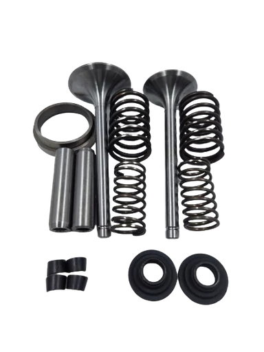 [A16.5.g3] Kit de válvula de motor estacionario petrolero km186